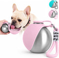AquaSphere™ - 2-in-1 Stainless Steel Travel Pet Bottle (Pink)