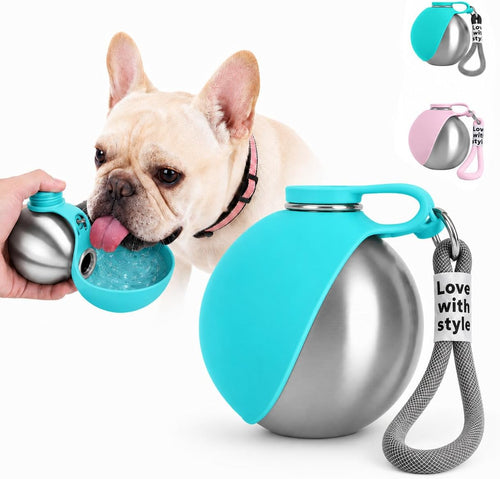 AquaSphere™ - 2-in-1 Stainless Steel Travel Pet Bottle (Blue)