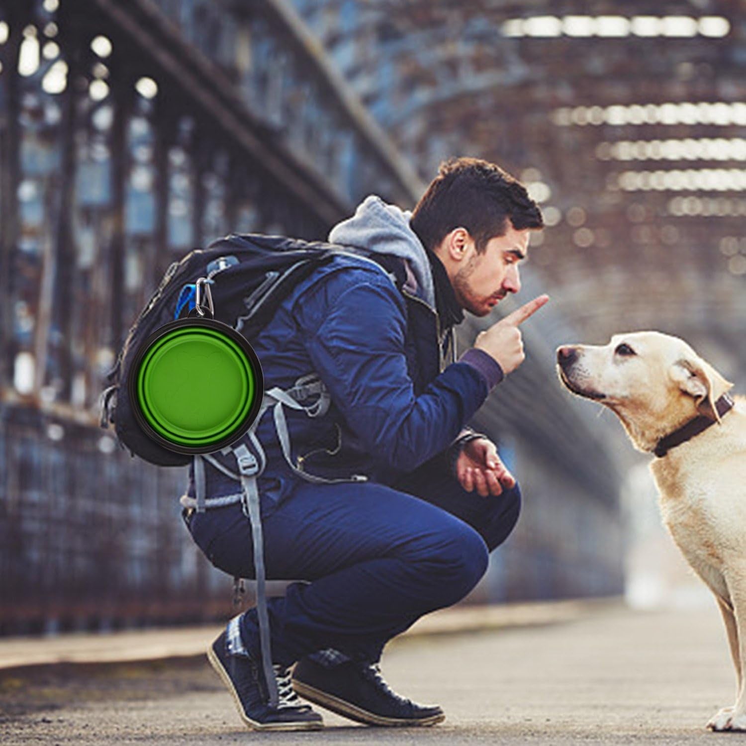 NomadBowl™ - Portable Collapsible Travel Pet Bowls (2-Pack)